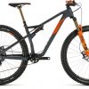 ams100
