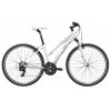 giant rove 4 2017