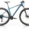 natural40bleu
