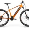ridon10orange