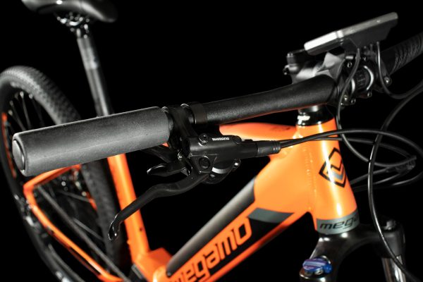 ridon10orange5