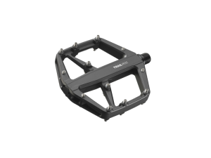 ROC1