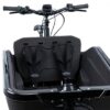cargo1